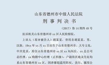 胡某某挪用公款、貪污（二審）