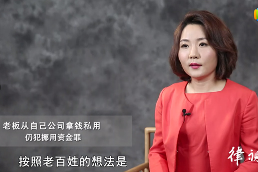 老板從自己公司拿錢私用，仍犯挪用資金罪【視頻解說(shuō)】