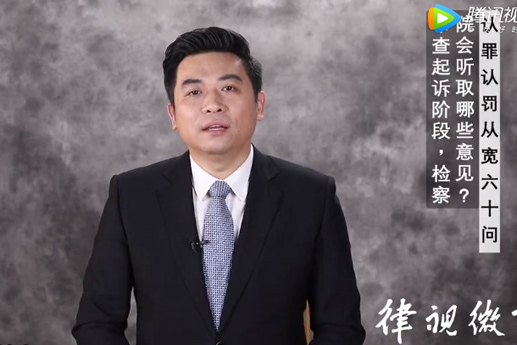 在審查起訴階段，檢察院會聽取哪些意見？