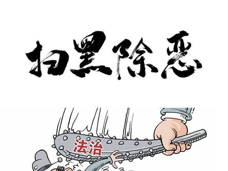 掃黑除惡十二類打擊重點(diǎn)(圖1)
