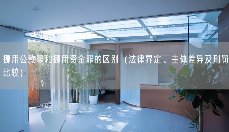 挪用公款罪和挪用資金罪的區(qū)別（法律界定、主體差異及刑罰比較）