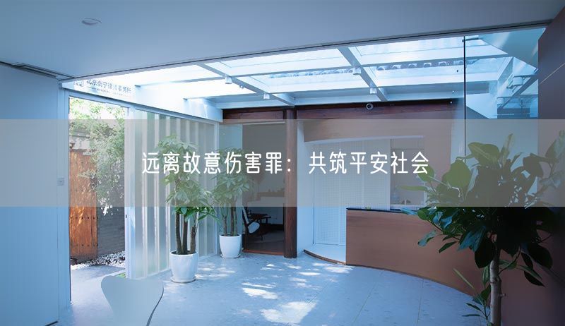 遠(yuǎn)離故意傷害罪：共筑平安社會(huì)