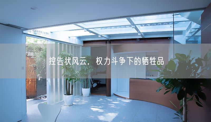 控告狀風云，權力斗爭下的犧牲品